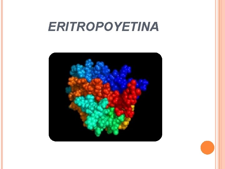 ERITROPOYETINA 