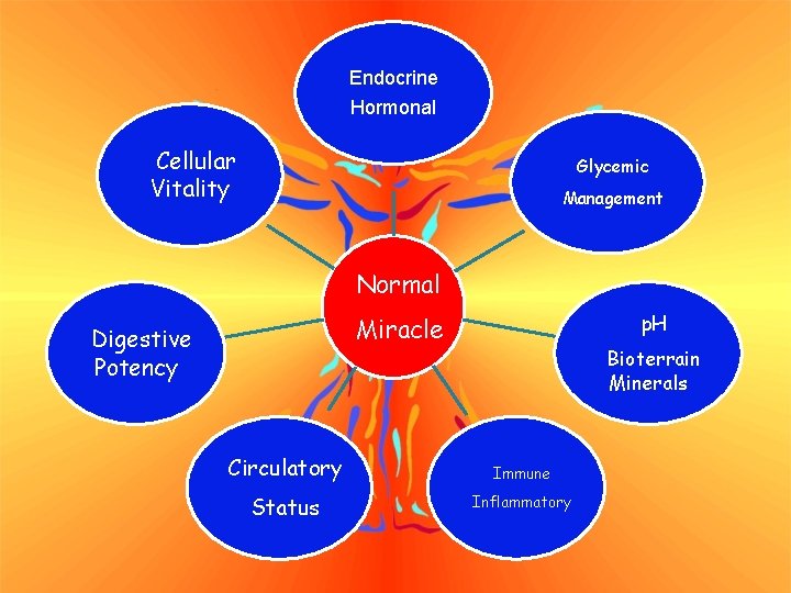 Endocrine Hormonal Cellular Vitality Glycemic Management Normal p. H Miracle Digestive Potency Bioterrain Minerals