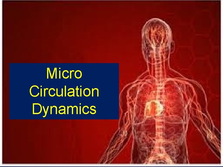 Micro Circulation Dynamics 