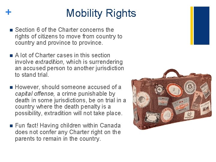 + Mobility Rights n Section 6 of the Charter concerns the rights of citizens