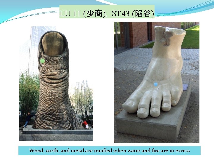 LU 11 (少商), ST 43 (陷谷) Wood, earth, and metal are tonified when water
