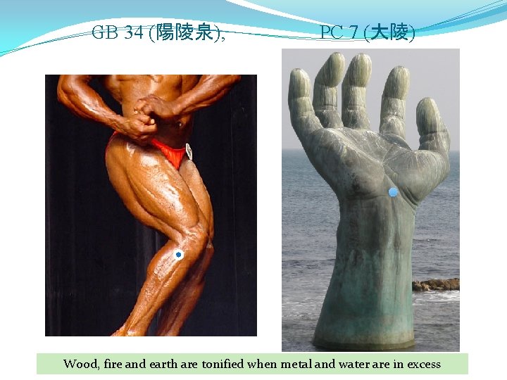 GB 34 (陽陵泉), PC 7 (大陵) Wood, fire and earth are tonified when metal