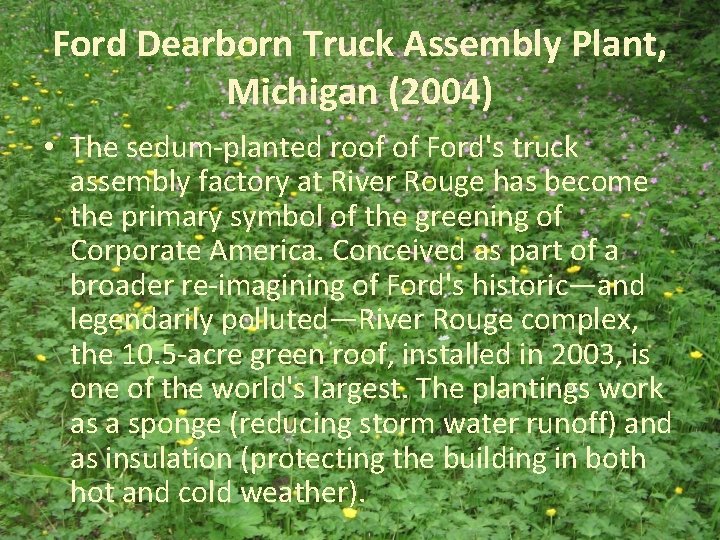 Ford Dearborn Truck Assembly Plant, Michigan (2004) • The sedum-planted roof of Ford's truck