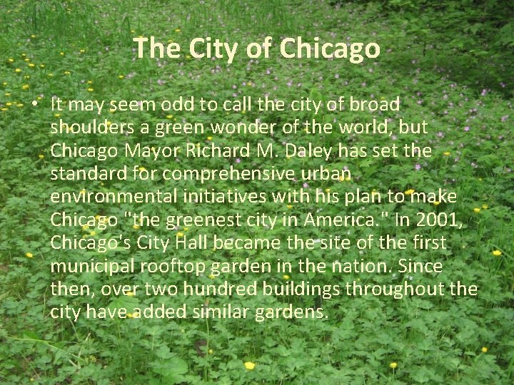 The City of Chicago • It may seem odd to call the city of