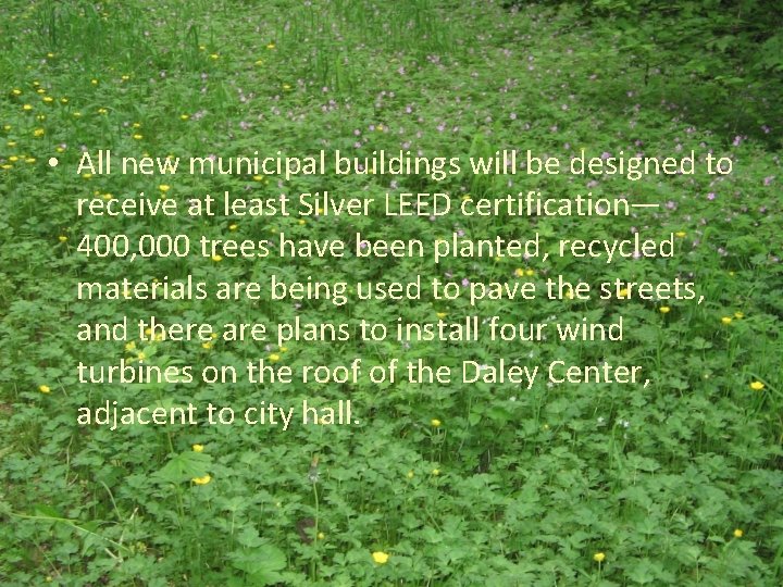  • All new municipal buildings will be designed to receive at least Silver