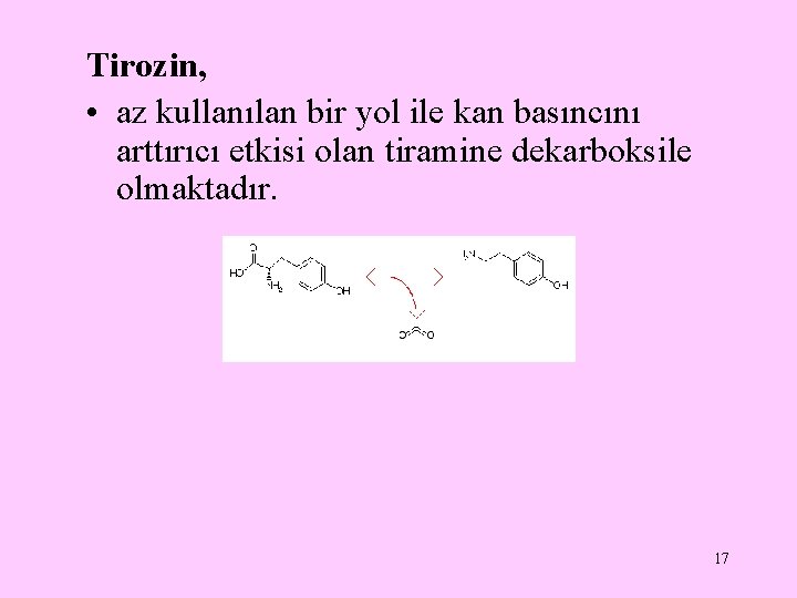 Tirozin, • az kullanılan bir yol ile kan basıncını arttırıcı etkisi olan tiramine dekarboksile