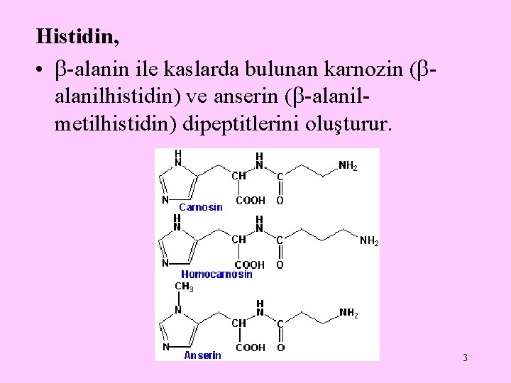 Histidin, • -alanin ile kaslarda bulunan karnozin ( alanilhistidin) ve anserin ( -alanilmetilhistidin) dipeptitlerini