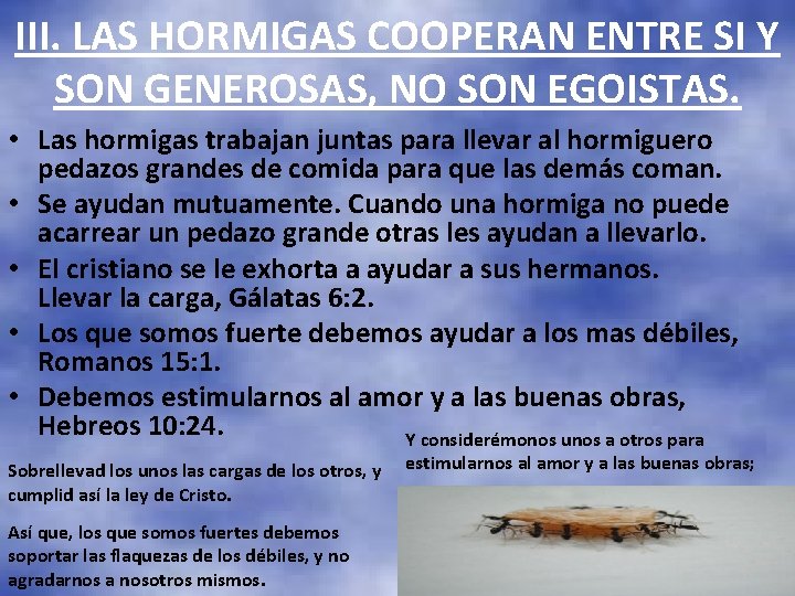 III. LAS HORMIGAS COOPERAN ENTRE SI Y SON GENEROSAS, NO SON EGOISTAS. • Las