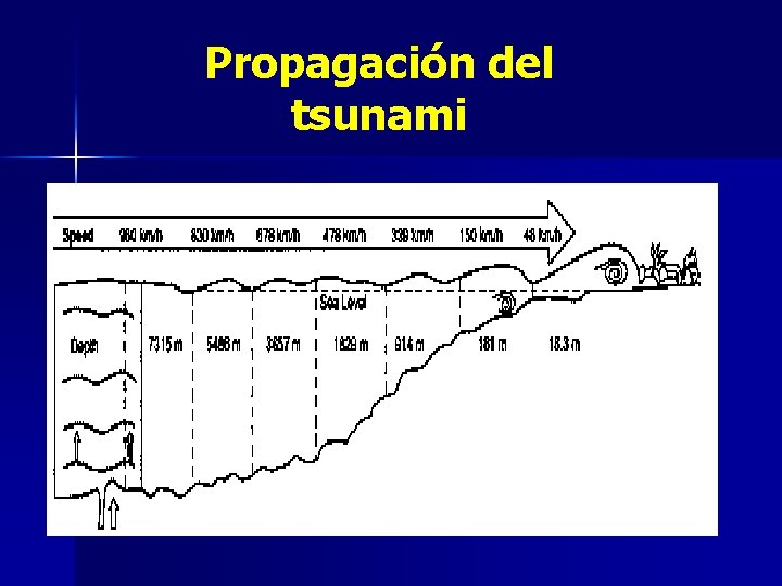 Propagación del tsunami 