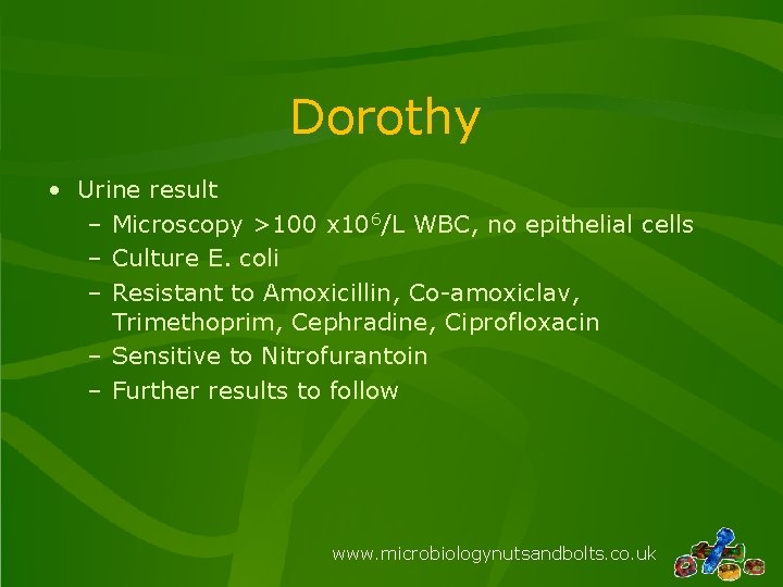 Dorothy • Urine result – Microscopy >100 x 106/L WBC, no epithelial cells –