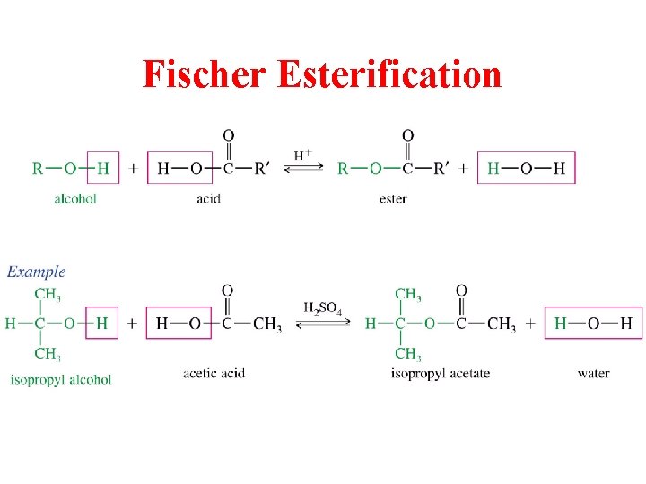 Fischer Esterification 