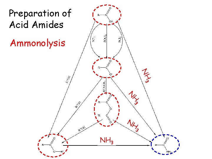 Preparation of Acid Amides Ammonolysis NH 3 N NH 3 