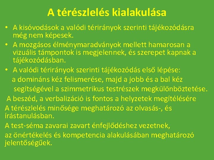 A térészlelés kialakulása • A kisóvodások a valódi térirányok szerinti tájékozódásra még nem képesek.