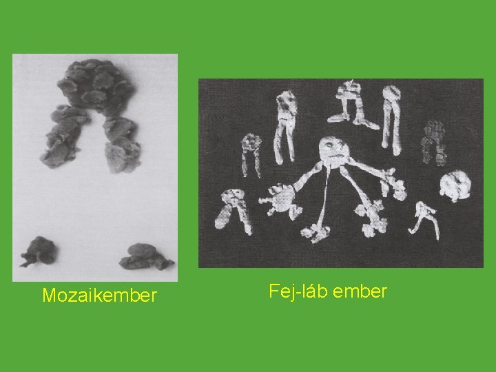 Mozaikember Fej-láb ember 