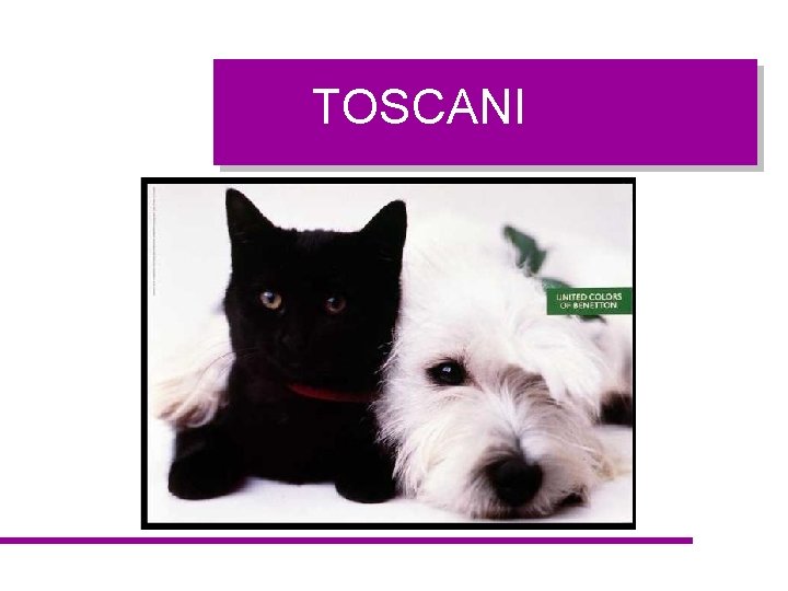 TOSCANI 