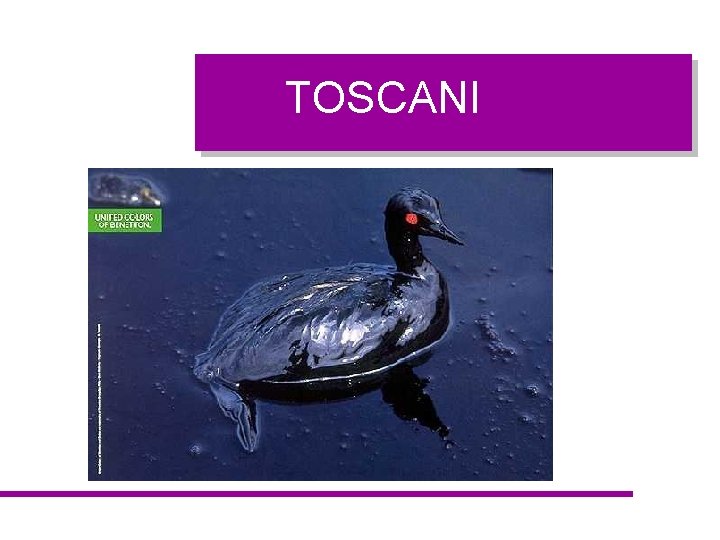 TOSCANI 