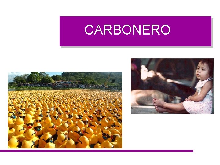 CARBONERO 