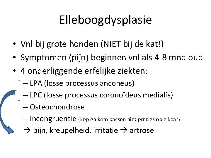 Elleboogdysplasie • Vnl bij grote honden (NIET bij de kat!) • Symptomen (pijn) beginnen