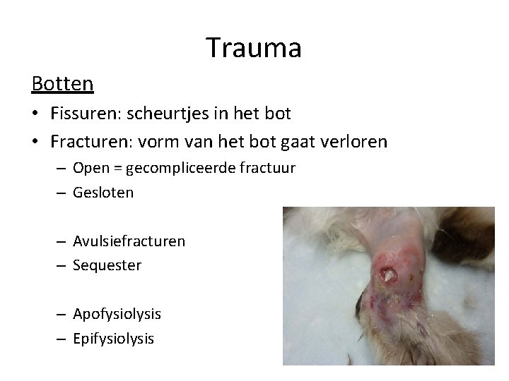 Trauma Botten • Fissuren: scheurtjes in het bot • Fracturen: vorm van het bot