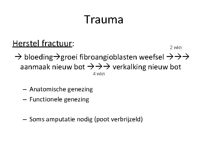 Trauma Herstel fractuur: 2 wkn bloeding groei fibroangioblasten weefsel aanmaak nieuw bot verkalking nieuw