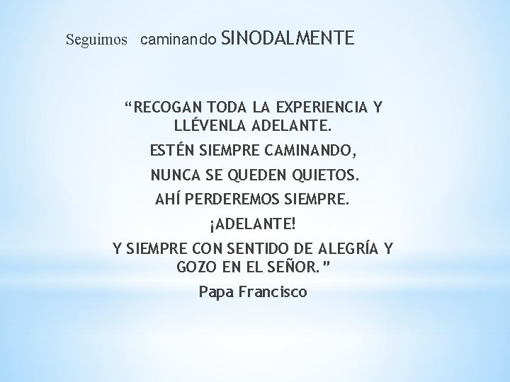 Seguimos caminando SINODALMENTE “RECOGAN TODA LA EXPERIENCIA Y LLÉVENLA ADELANTE. ESTÉN SIEMPRE CAMINANDO, NUNCA