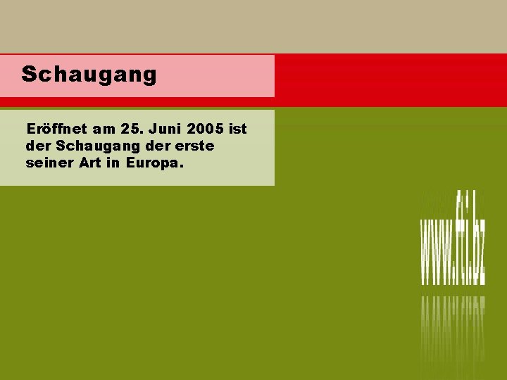 Schaugang Eröffnet am 25. Juni 2005 ist der Schaugang der erste seiner Art in