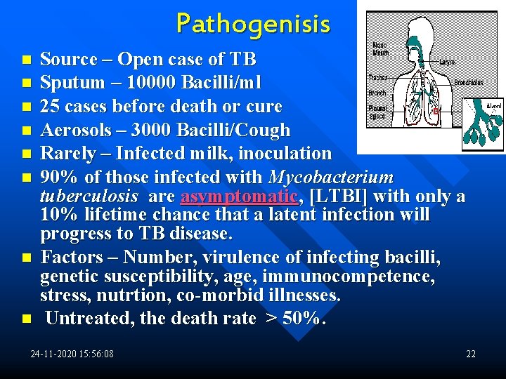Pathogenisis n n n n Source – Open case of TB Sputum – 10000