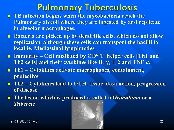 n n n Pulmonary Tuberculosis TB infection begins when the mycobacteria reach the Pulmonary