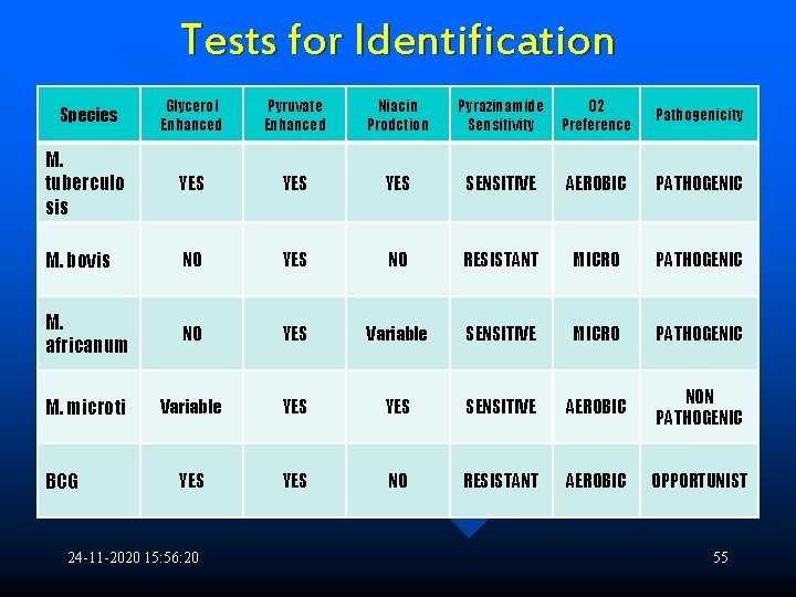 Tests for Identification Species Glycerol Enhanced Pyruvate Enhanced Niacin Prodction Pyrazinamide Sensitivity O 2