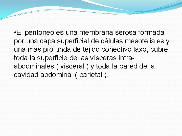  • El peritoneo es una membrana serosa formada por una capa superficial de