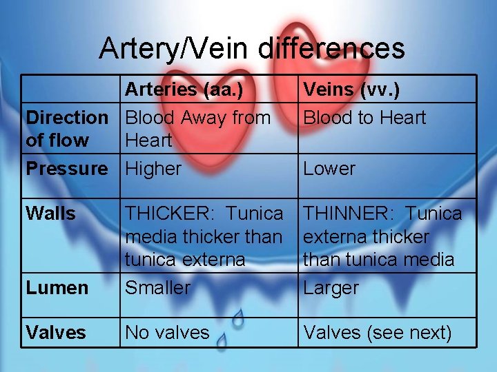 Artery/Vein differences Arteries (aa. ) Direction Blood Away from of flow Heart Pressure Higher