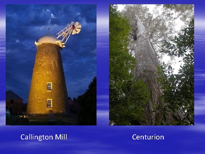 Callington Mill Centurion 