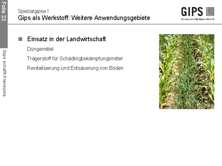 Folie 22 Spezialgipse I Gips als Werkstoff: Weitere Anwendungsgebiete n Einsatz in der Landwirtschaft