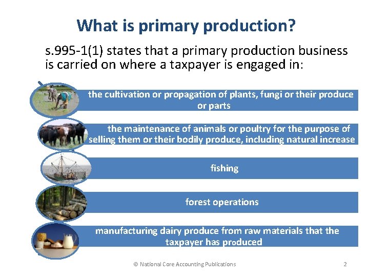 What is primary production? s. 995 -1(1) states that a primary production business is