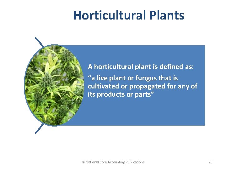 Horticultural Plants A horticultural plant is defined as: “a live plant or fungus that