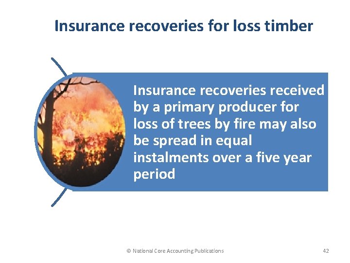 Insurance recoveries for loss timber Insurance recoveries received by a primary producer for loss