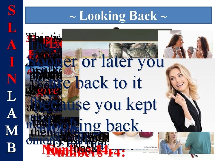 S L A I N L A M B ~ Looking Back ~ 12