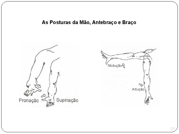 As Posturas da Mão, Antebraço e Braço 21 