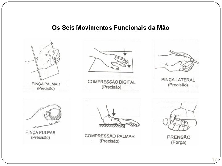 Os Seis Movimentos Funcionais da Mão 17 