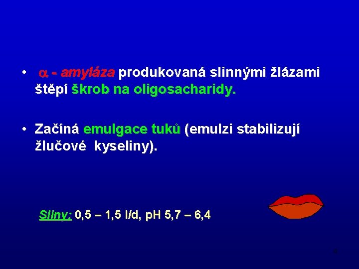  • a - amyláza produkovaná slinnými žlázami štěpí škrob na oligosacharidy. • Začíná