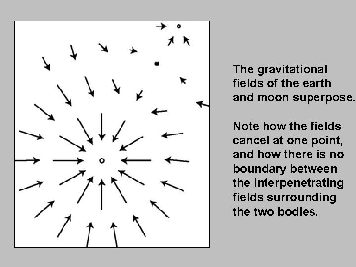 The gravitational fields of the earth and moon superpose. Note how the fields cancel