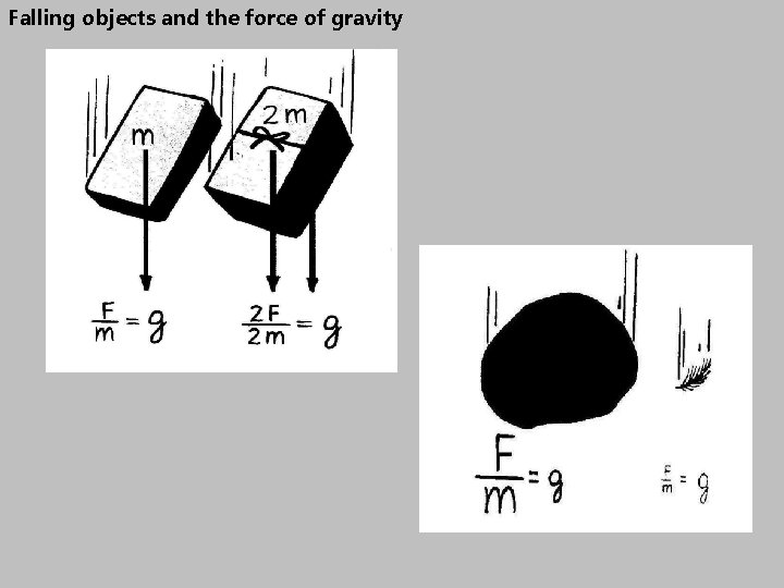 Falling objects and the force of gravity 