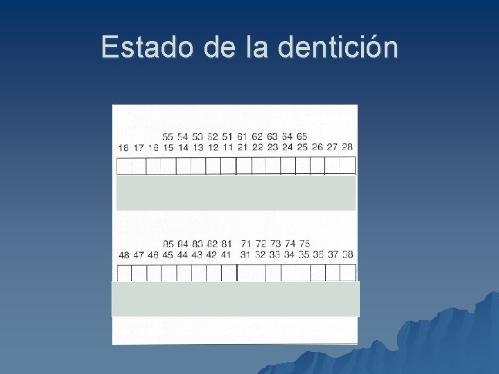 Estado de la dentición 