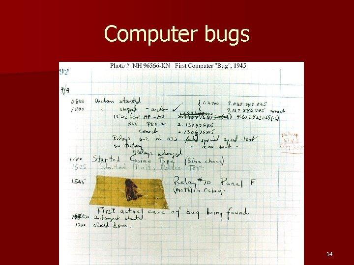 Computer bugs 14 