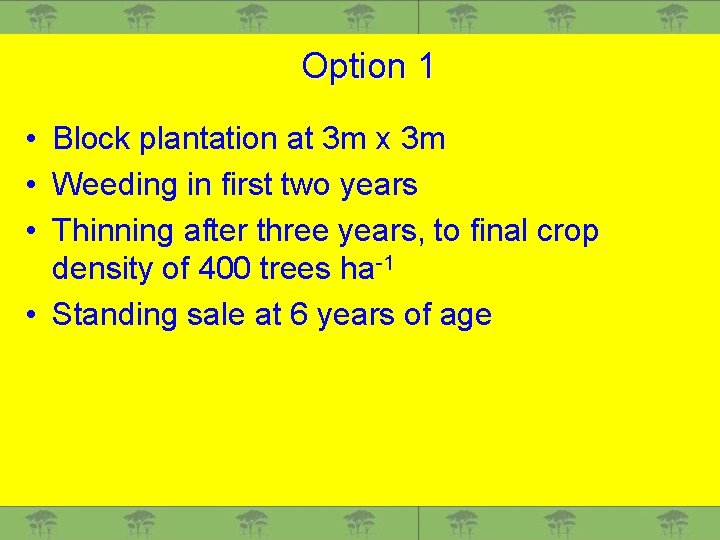 Option 1 • Block plantation at 3 m x 3 m • Weeding in