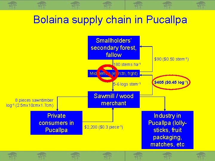 Bolaina supply chain in Pucallpa Smallholders’ secondary forest, fallow $90 ($0. 50 stem-1) 180
