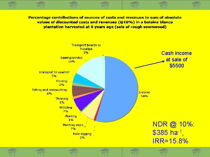 Cash income at sale of $5500 NDR @ 10%: $385 ha-1, IRR=15. 8% 