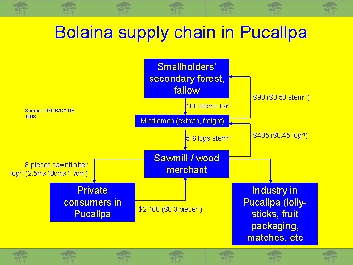 Bolaina supply chain in Pucallpa Smallholders’ secondary forest, fallow Source: CIFOR/CATIE, 1998 180 stems