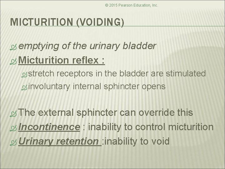 © 2015 Pearson Education, Inc. MICTURITION (VOIDING) emptying of the urinary bladder Micturition reflex