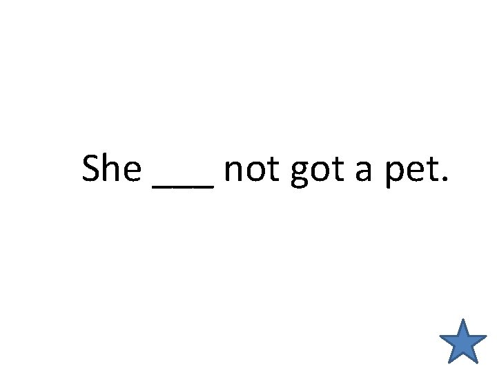 She ___ not got a pet. 